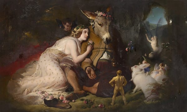 Building a Fairy